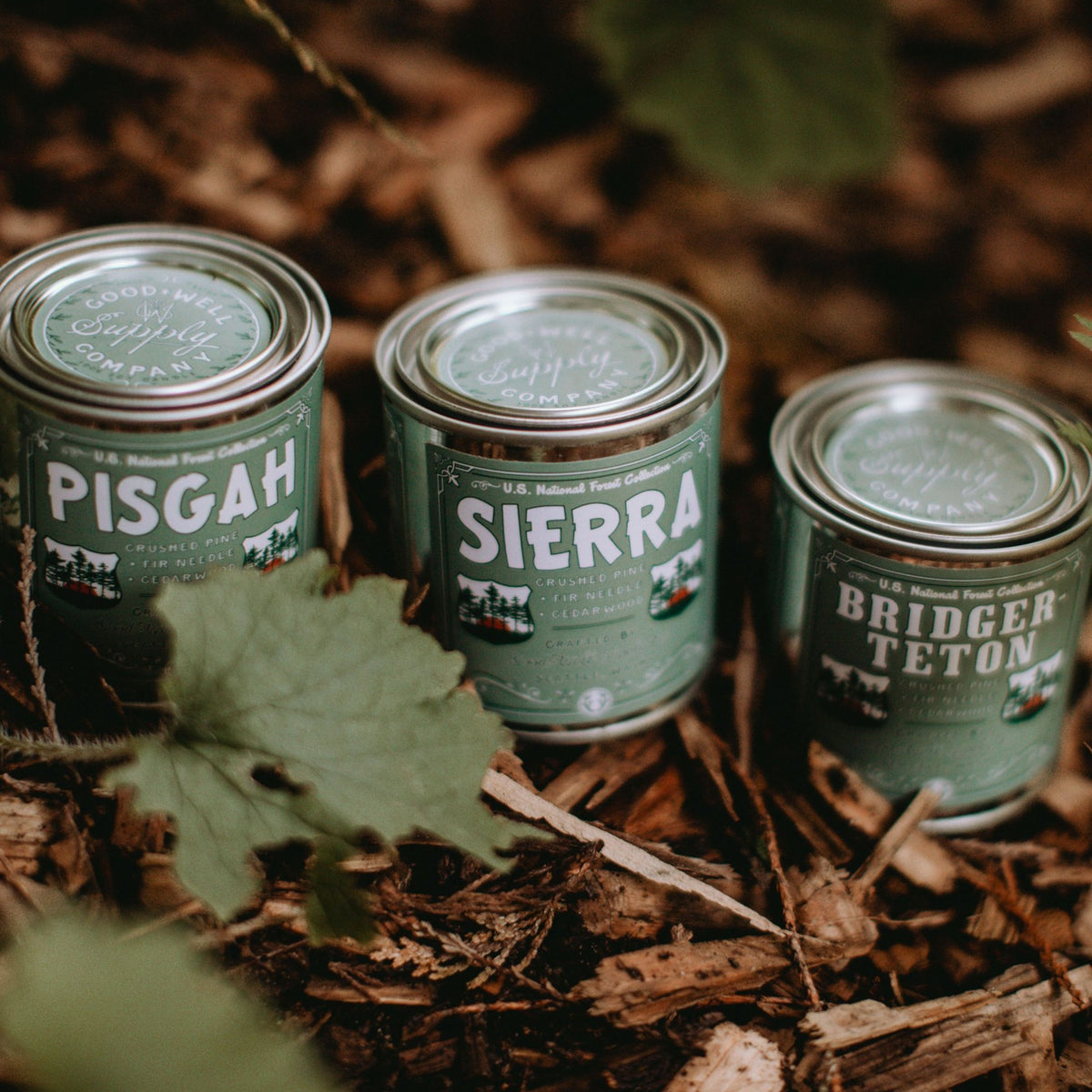 National Forests Candle Collection